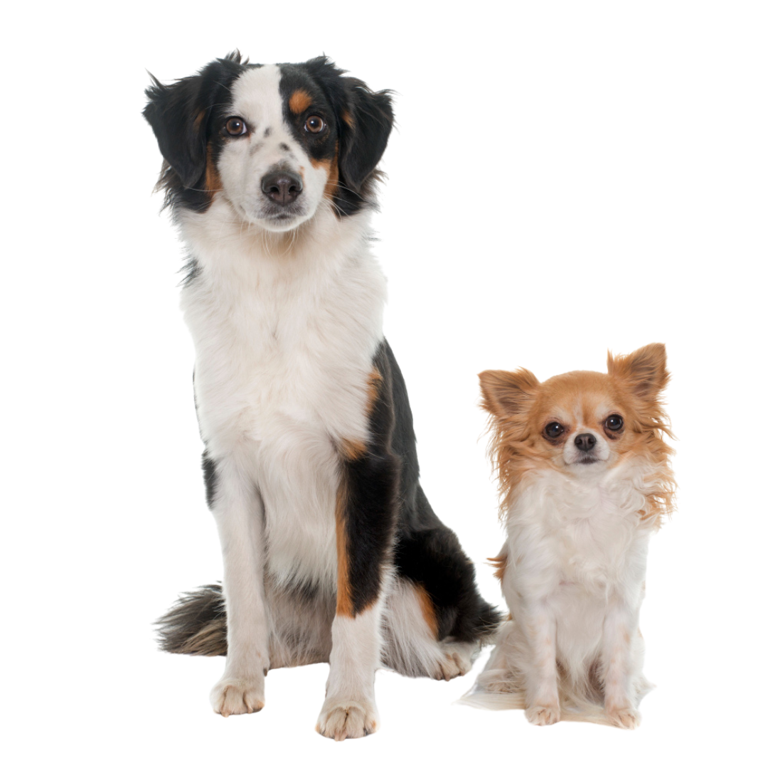 Your paragraph text (1)