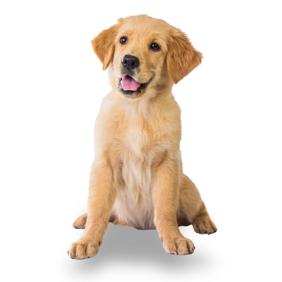 Your paragraph text (2)